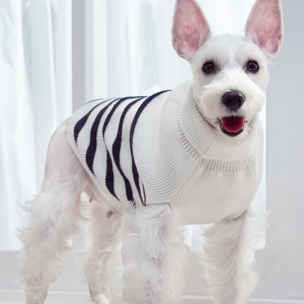 

Striped Pattern Pet Sweater, Black and white