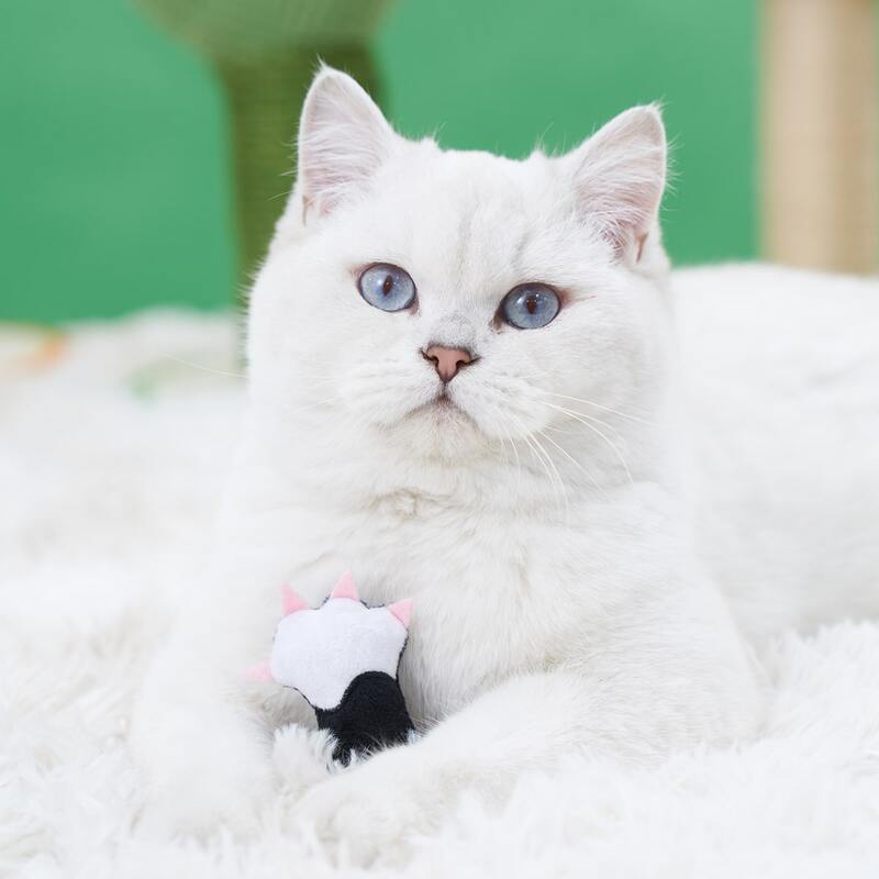 

1pc Cat Paw Shaped Pet Plush Toy, Black and white