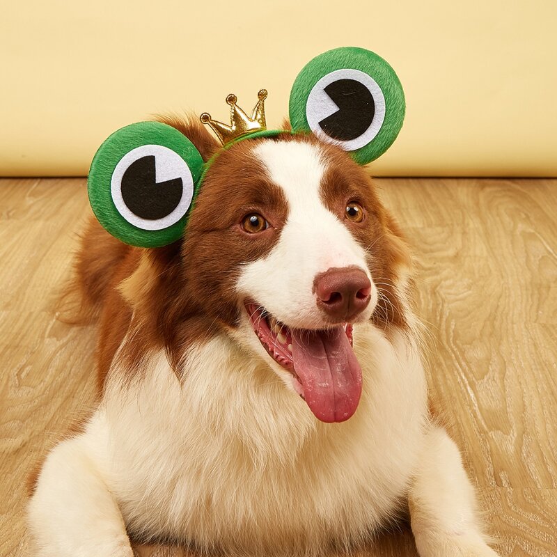 

1pc Frog Design Pet Hair Hoop, Green