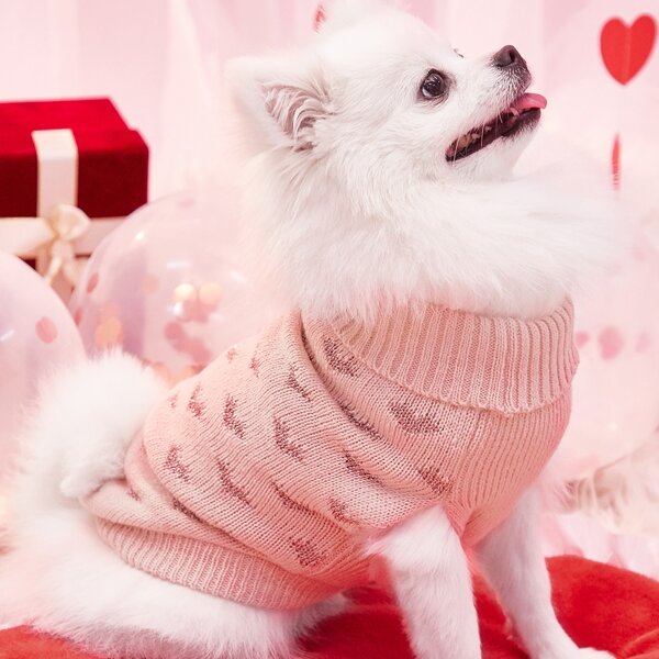 

Heart Pattern Pet Sweater, Pink