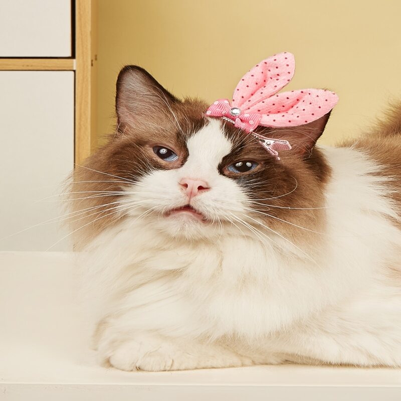 

1pc Ear Decor Pet Hair Clip, Pink