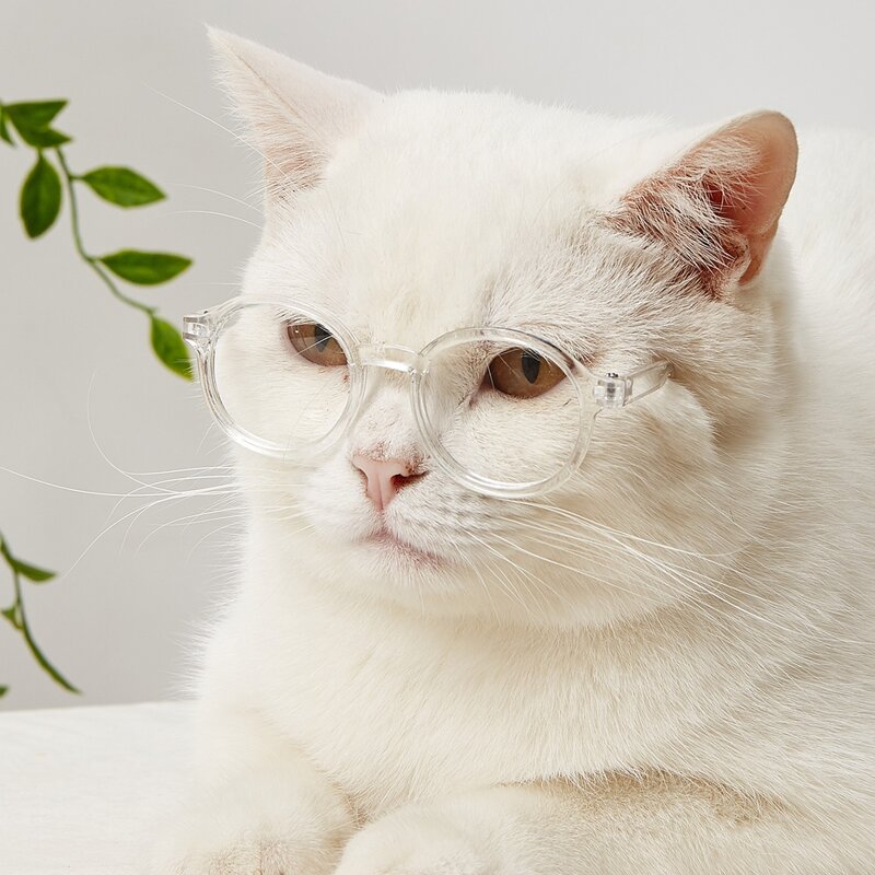 1pair Round Lens Pet Glasses, Clear