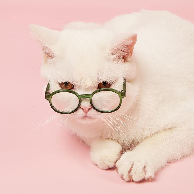 

1pair Round Lens Pet Glasses, Dark green