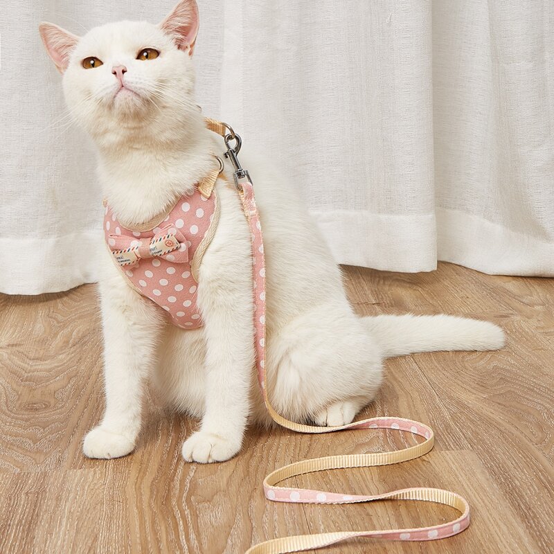 

1pc Polka Dot Pattern Pet Harness & 1pc Leash, Pink