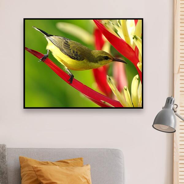 

Bird Pattern Diamond Painting Without Frame, Multicolor