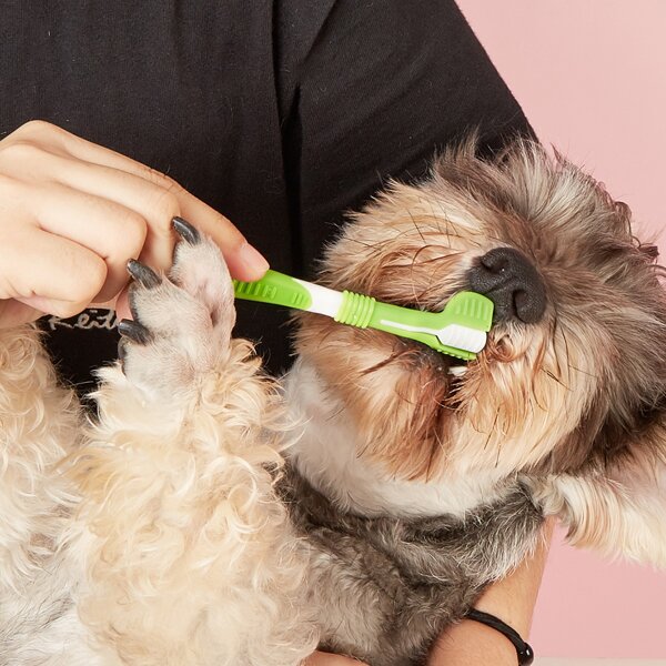 

1pc Plastic Pet Toothbrush, Green