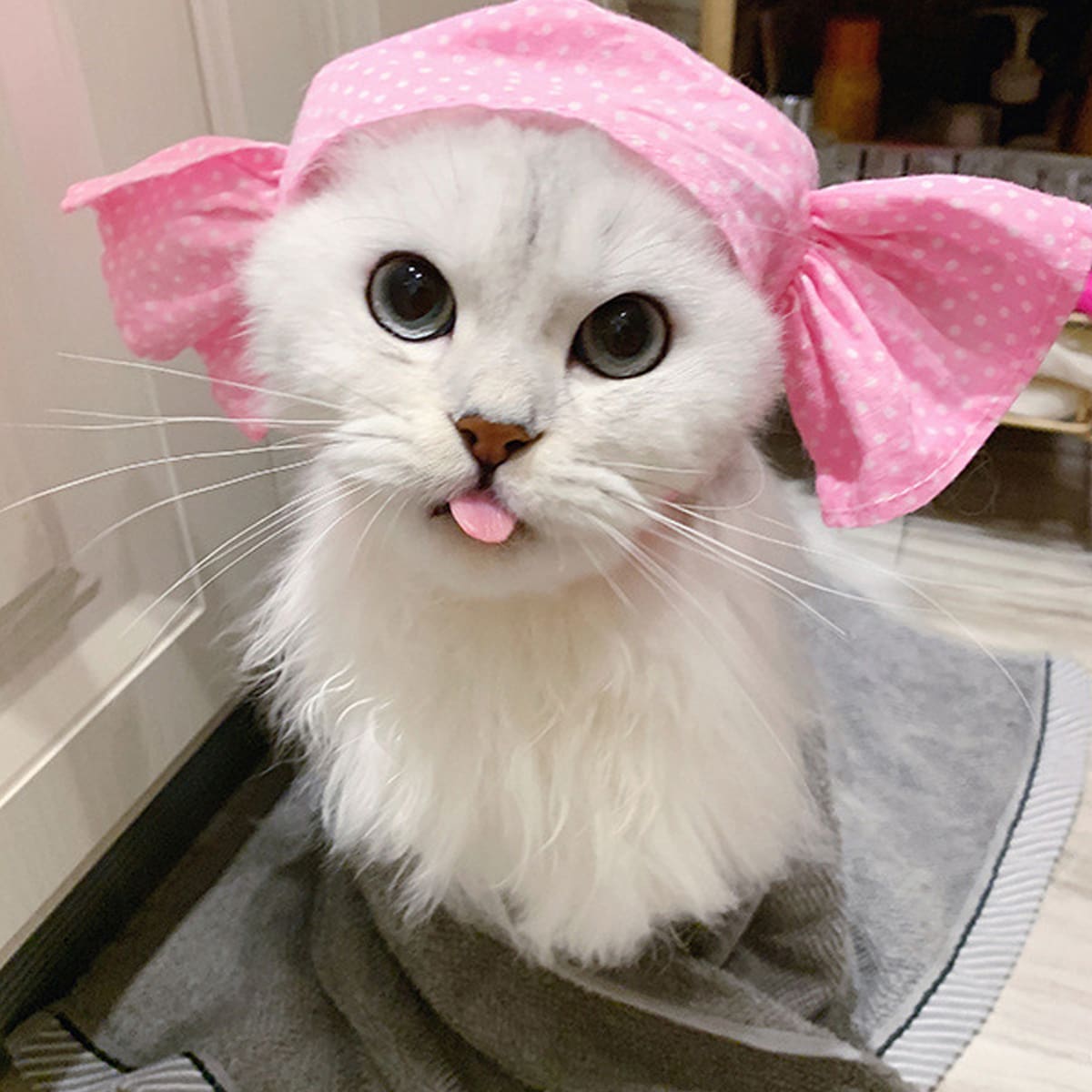 

Candy Shaped Pet Headwear, Pink