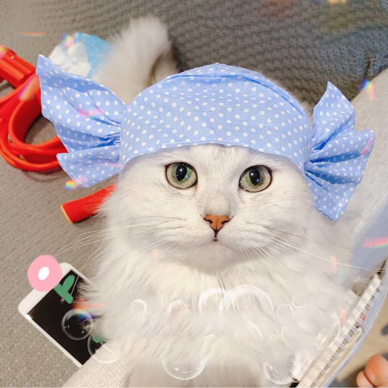 

Candy Shaped Pet Headwear, Blue
