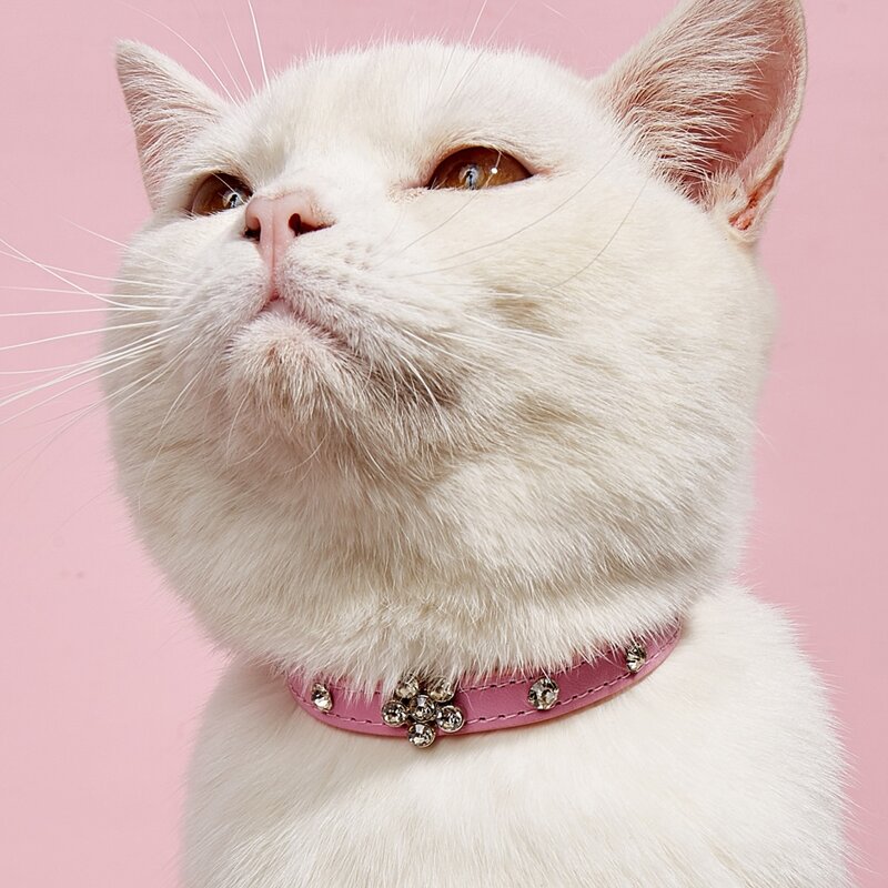

Rhinestone Decor Pet Collar, Pink