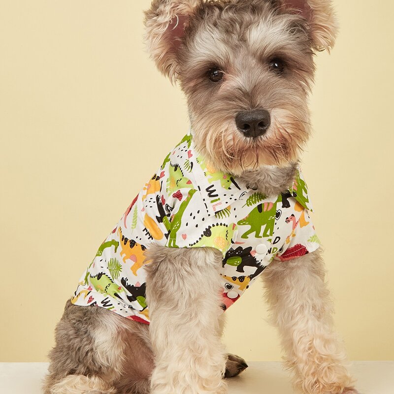 

Dinosaur Print Pet Shirt, Multicolor