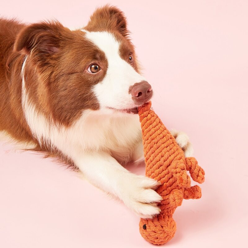 

Knitted Dinosaur Pet Chew Toy, Orange