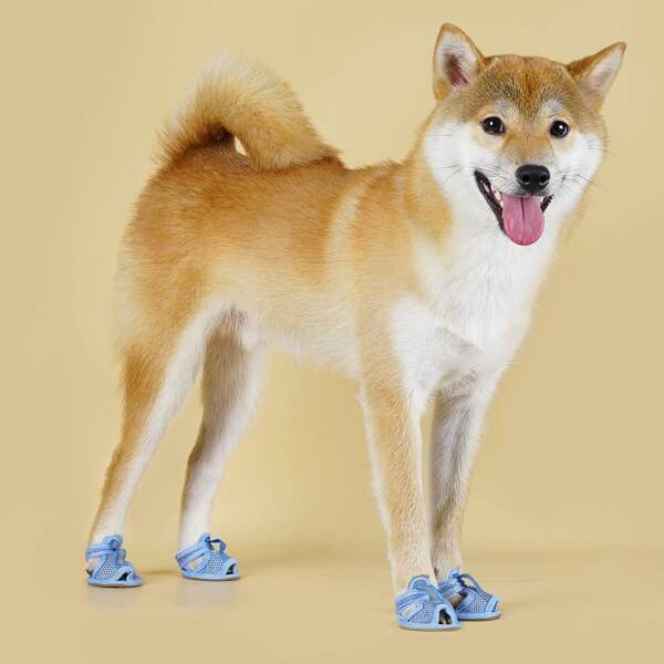 

4pcs Breathable Pet Shoes, Multicolor