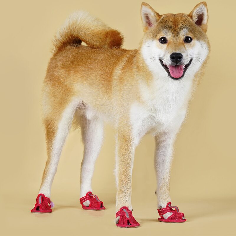

4pcs Breathable Pet Shoes, Multicolor
