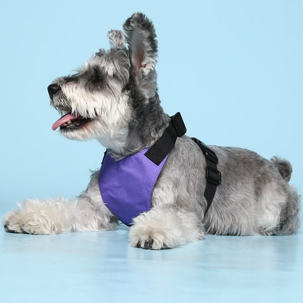 

Solid Color Pet Harness, Purple