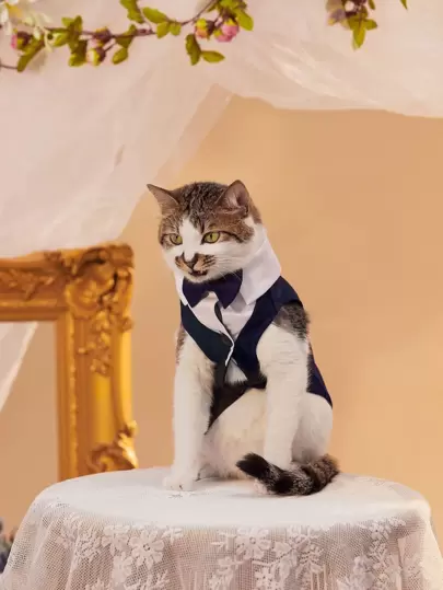 Gilet De Mariage Pour Animaux De Compagnie Avec Nœud Romwe