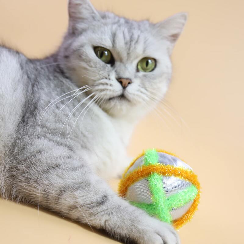 

2pcs Ball Shaped Pet Chew Toy, Multicolor