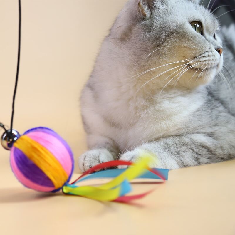 

1pc Random Color Cat Teaser Stick, Multicolor