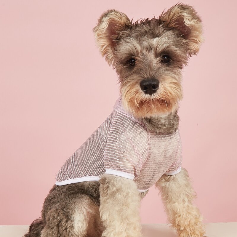 

Striped Pattern Pet Hoodie, Pink