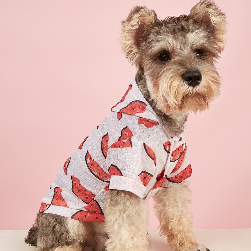 

Watermelon Print Pet Jacket, Multicolor