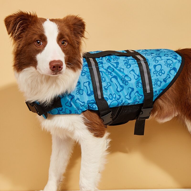 

Cartoon Graphic Pet Swimsuit, Multicolor