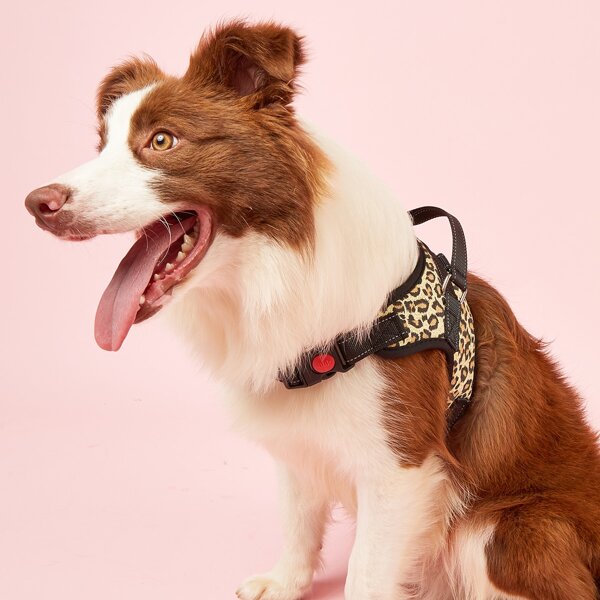 

1pc Leopard Print Pet Harness, Multicolor