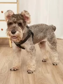 Solid Color Pet Carrier Harness For Daily Outings - Black - View 1