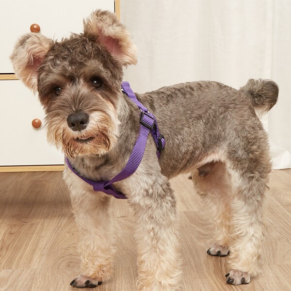 

1pc Plain Pet Harness, Purple