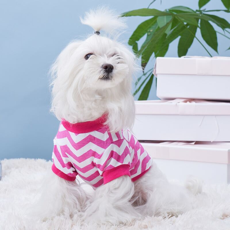 

Chevron Pattern Pet Tee, Hot pink
