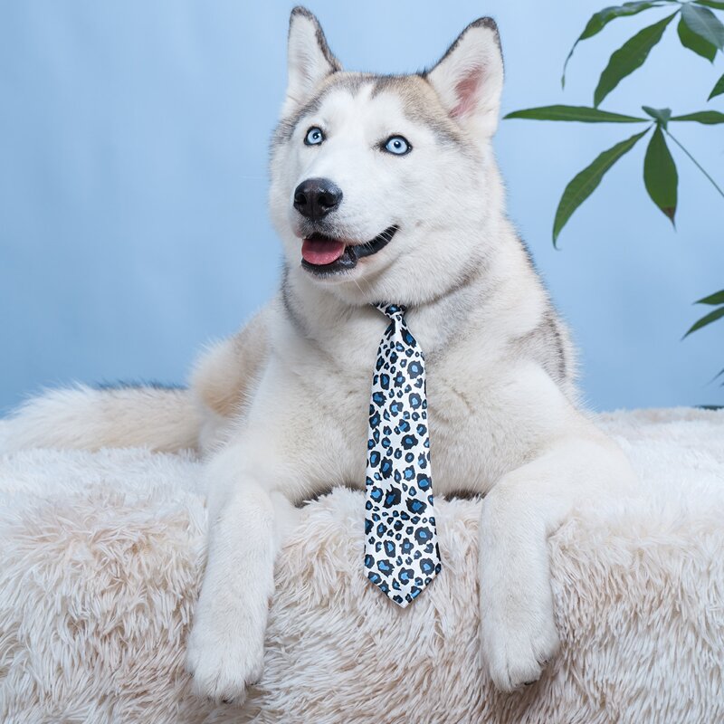 

Leopard Print Pet Tie, Multicolor