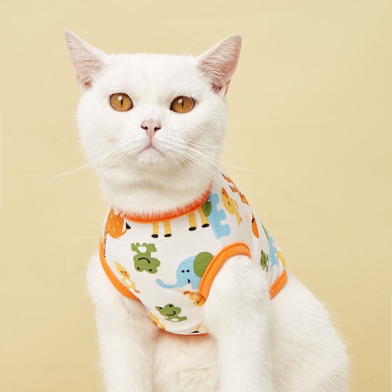 

Cartoon Graphic Pet Tank, Orange