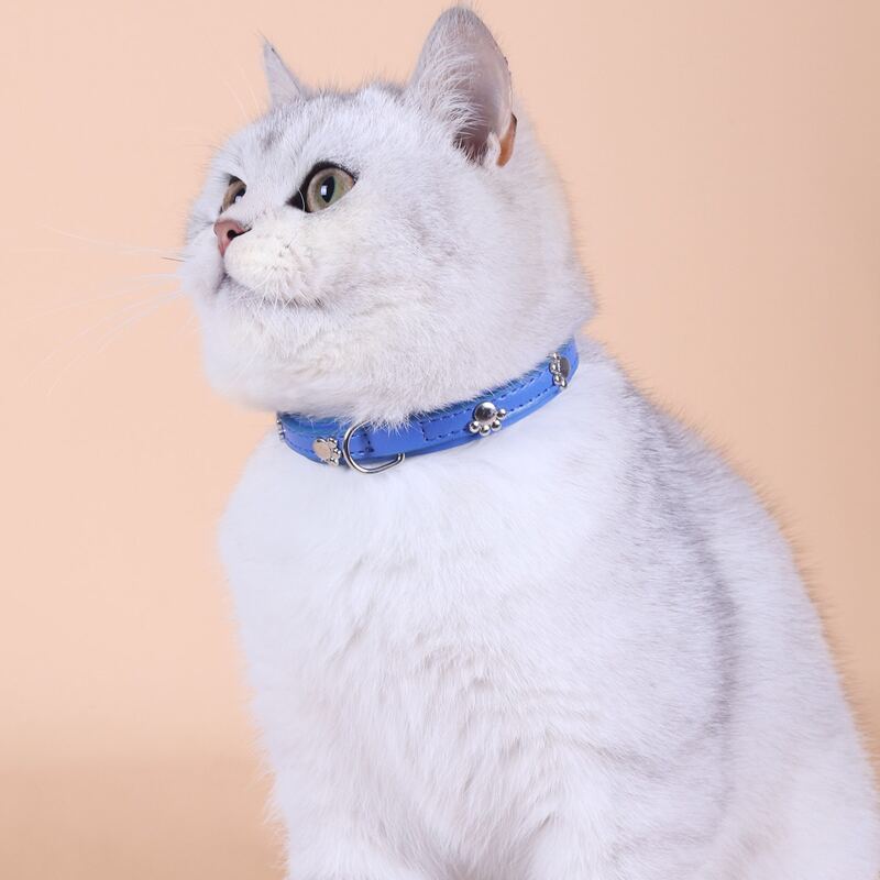 

Paw Decor Pet Collar, Blue