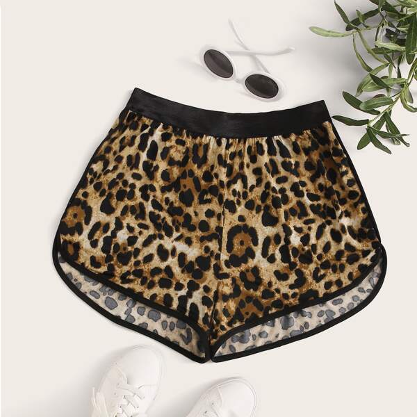 

Plus Leopard Print Track Shorts, Multicolor