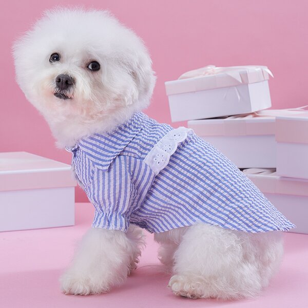 

Striped Pattern Pet Shirt, Blue and white