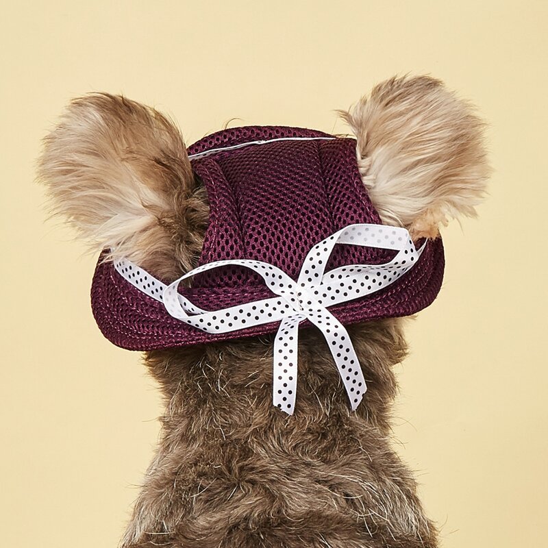 

Polka Dot Bow Decor Pet Beret, Purple