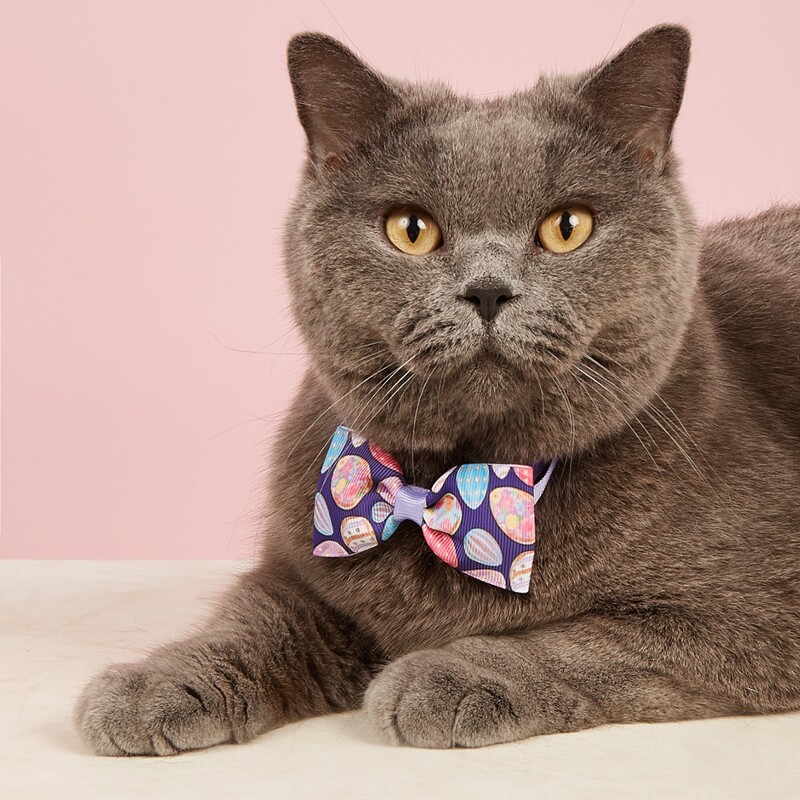

Egg Print Pet Bow, Purple
