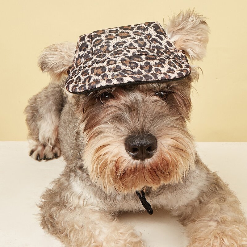 

Leopard Print Pet Beret, Coffee brown