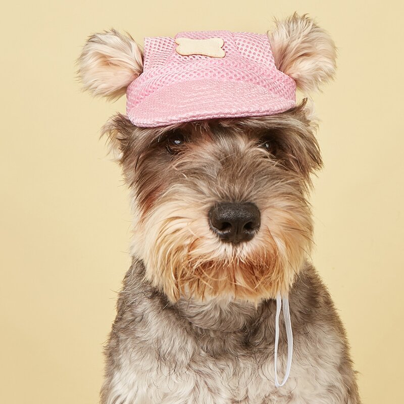 

Bone Decor Pet Beret, Pink