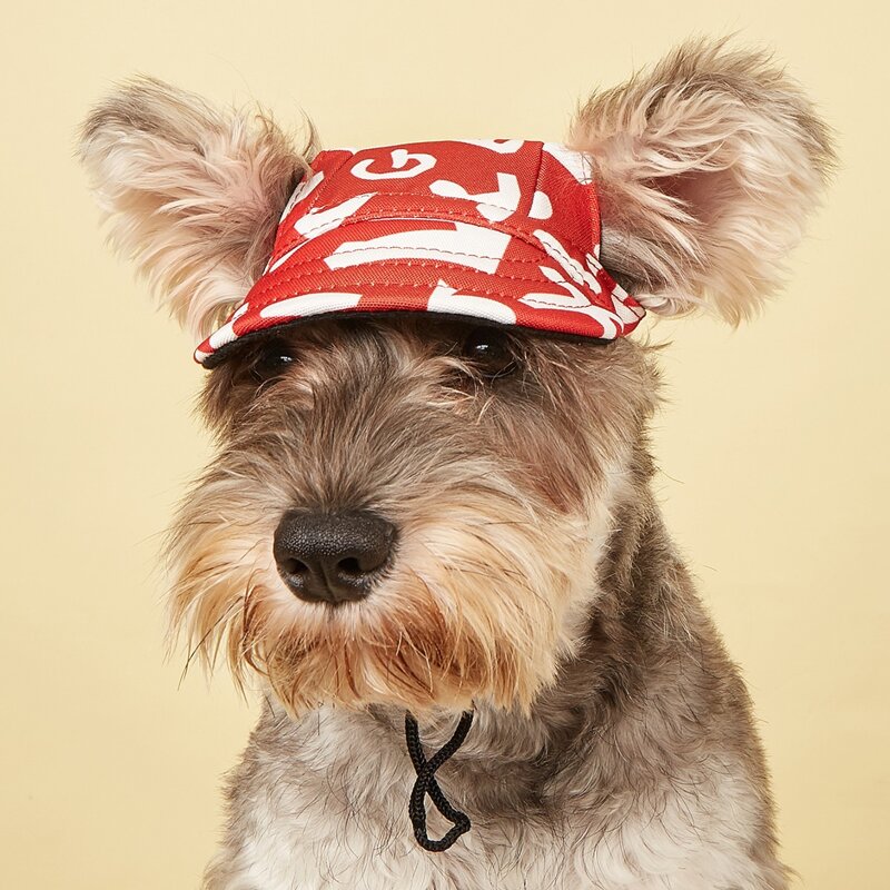 

Graphic Print Pet Beret, Red