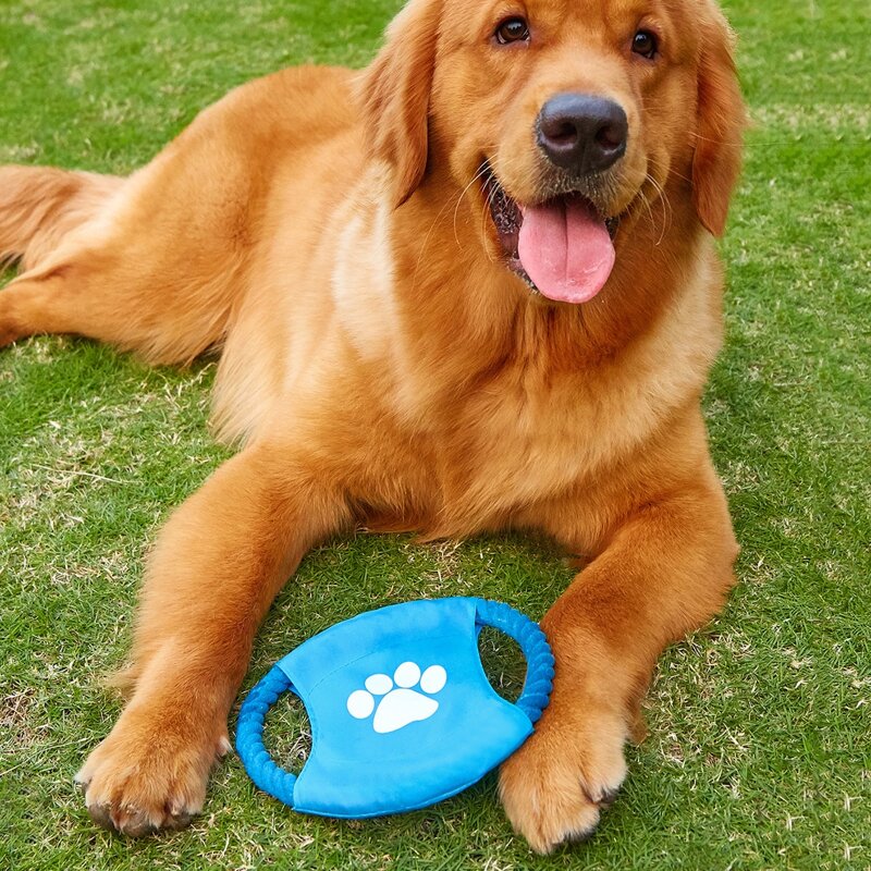 

1pc Paw Print Pet Training Frisbee, Blue
