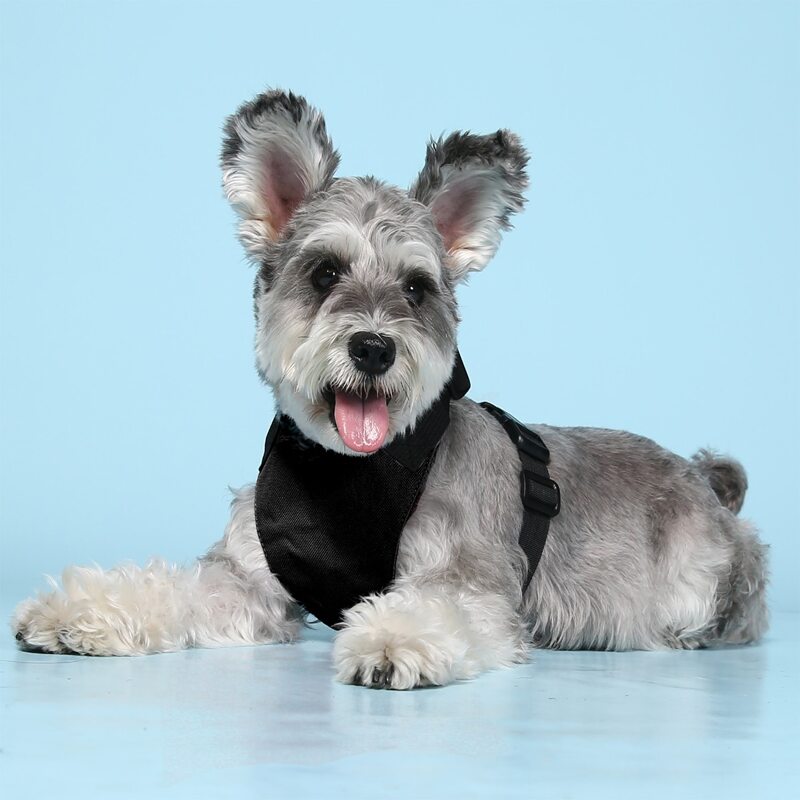 

1pc Plain Pet Harness, Black