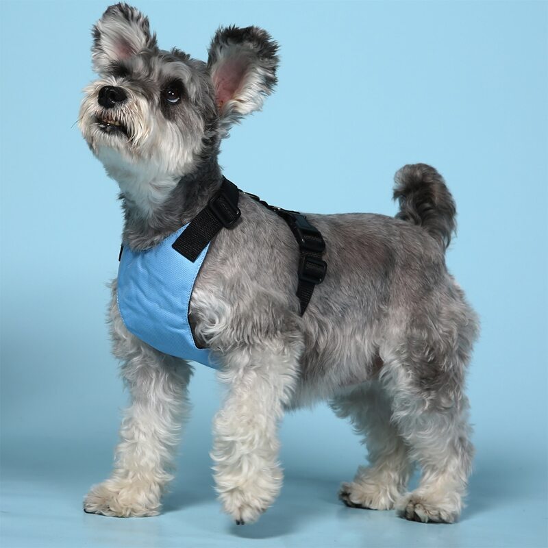 

1pc Plain Pet Harness, Baby blue
