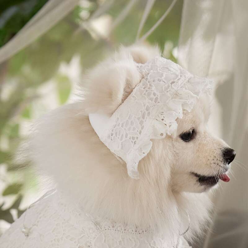 

1pc Pet Wedding Ruffle Headwear, White