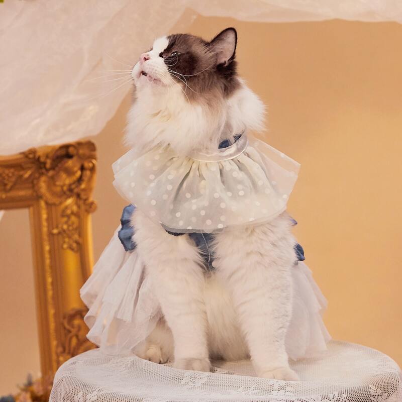 

Pearl Decor Pet Mesh Scarf, White