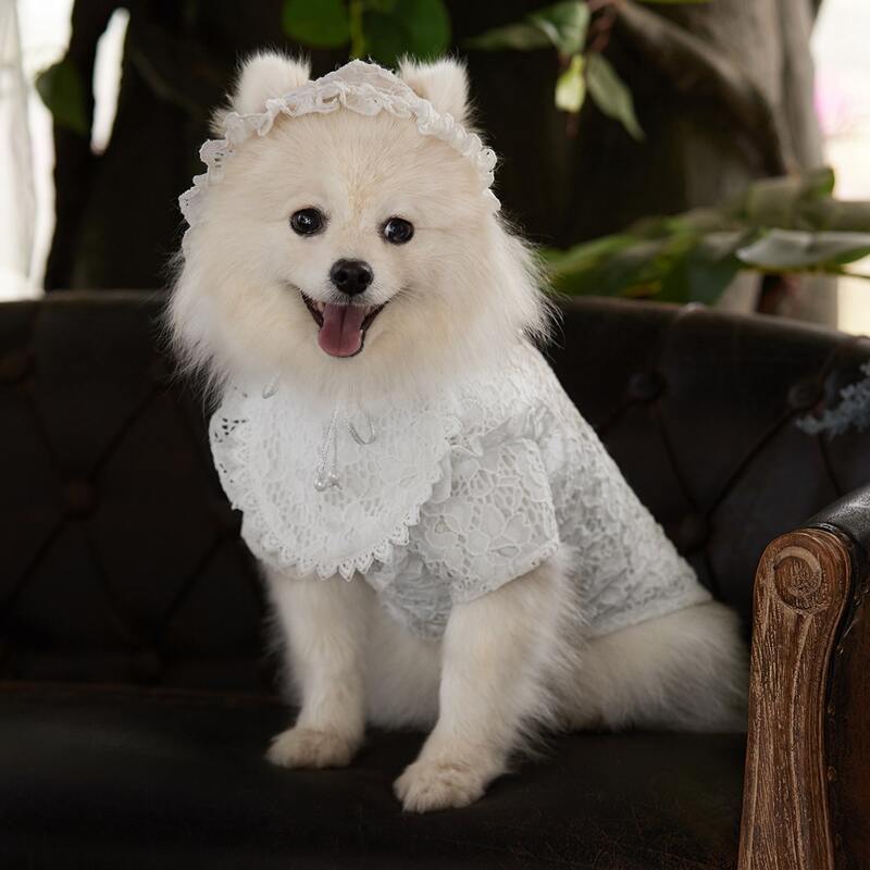 

Hollow Pet Wedding Dress, White