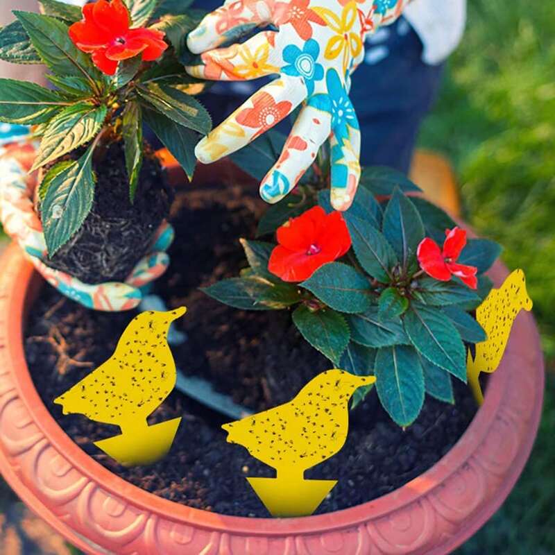 

10pcs Random Bug Sticky Board, Yellow