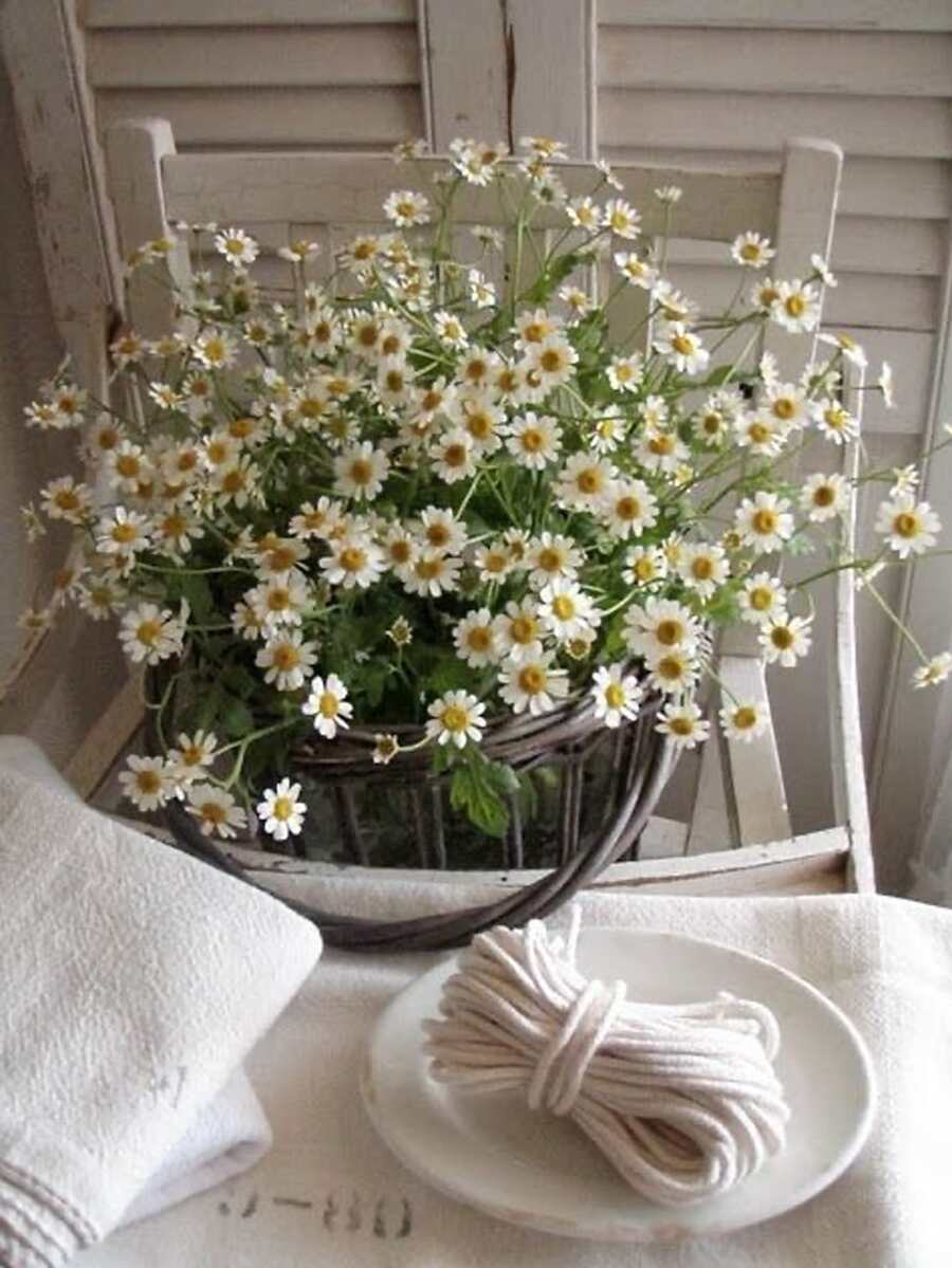 1 rama manzanilla artificial - Blanco - Ver 1