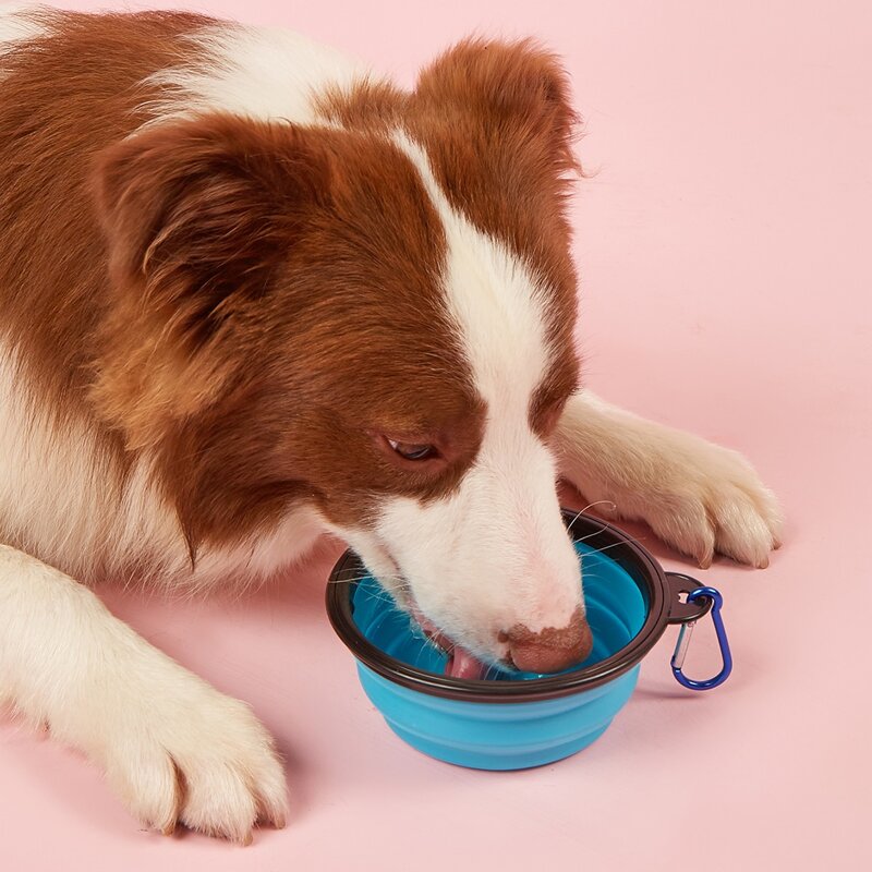 

1pc Collapsible Pet Travel Bowl With Carabiner, Blue