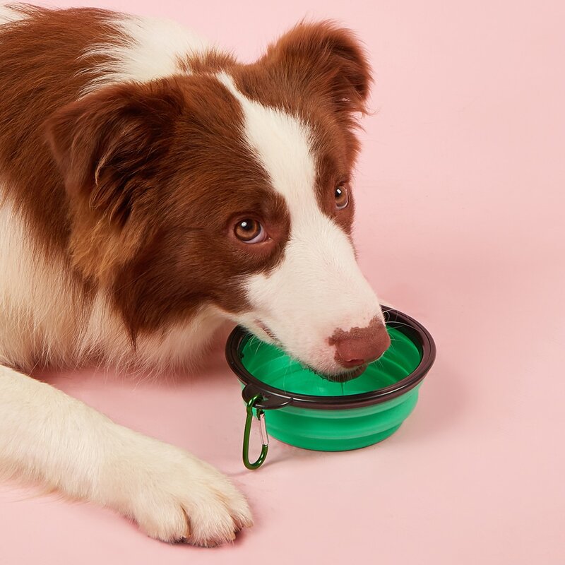 

1pc Collapsible Pet Travel Bowl With Carabiner, Green