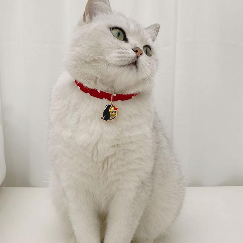 

Heart Print Pet Necklace, Red