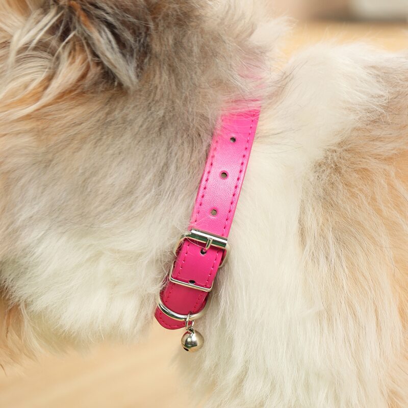 

Bell Decor Pet Collar, Hot pink